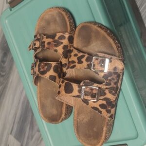 Cheetah slides